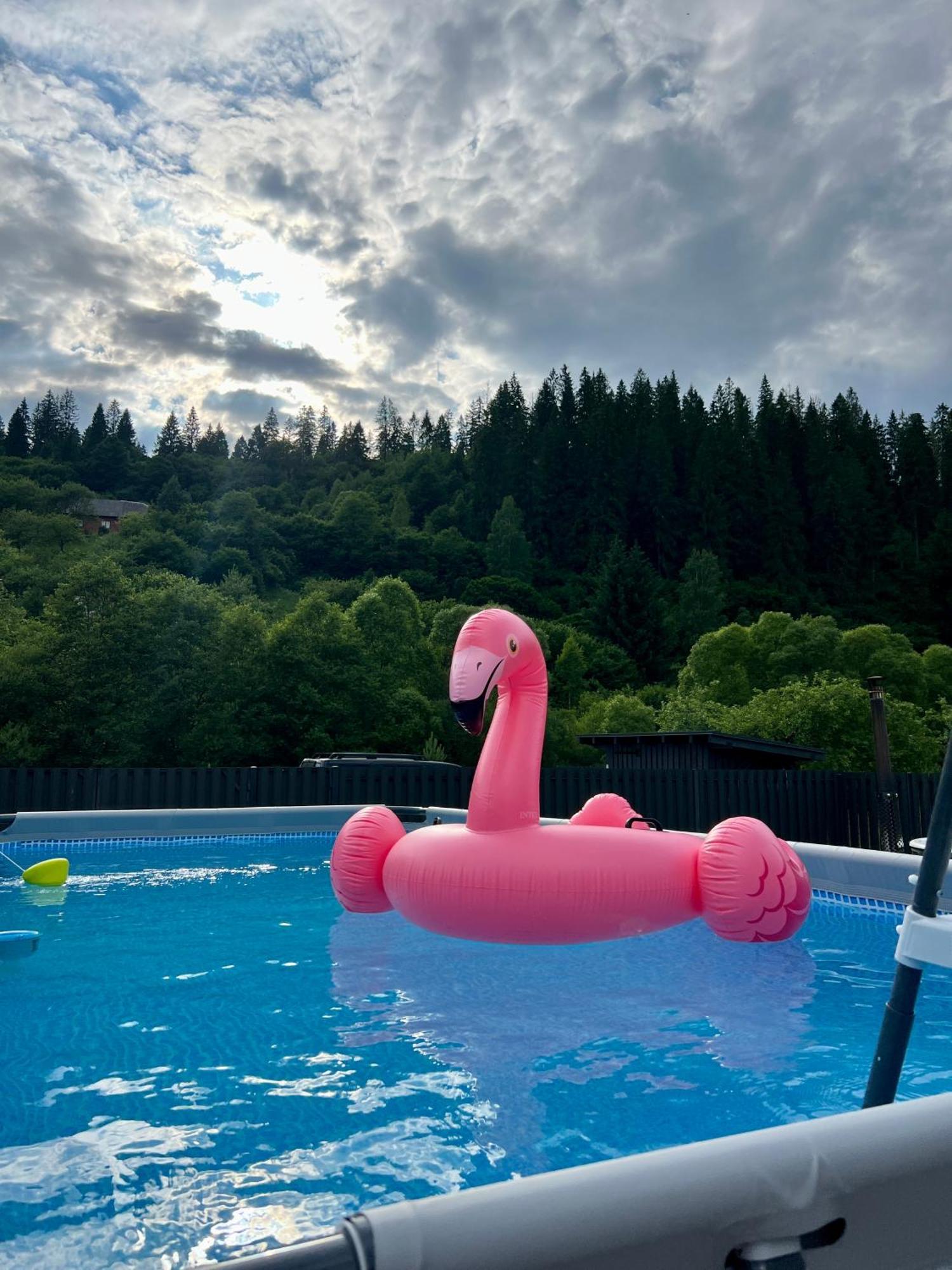 Boiko House - Котедж З Чаном-Джакузі スラブスク エクステリア 写真